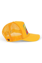 Classic LOGO RAINBOW VINTAGE TRUCKER HAT