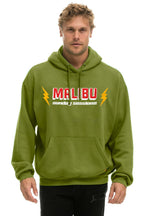 Classic DREAMLAND MALIBU SUNDAY SESSIONS PULLOVER HOODIE RELAXED - JUNGLE GREEN