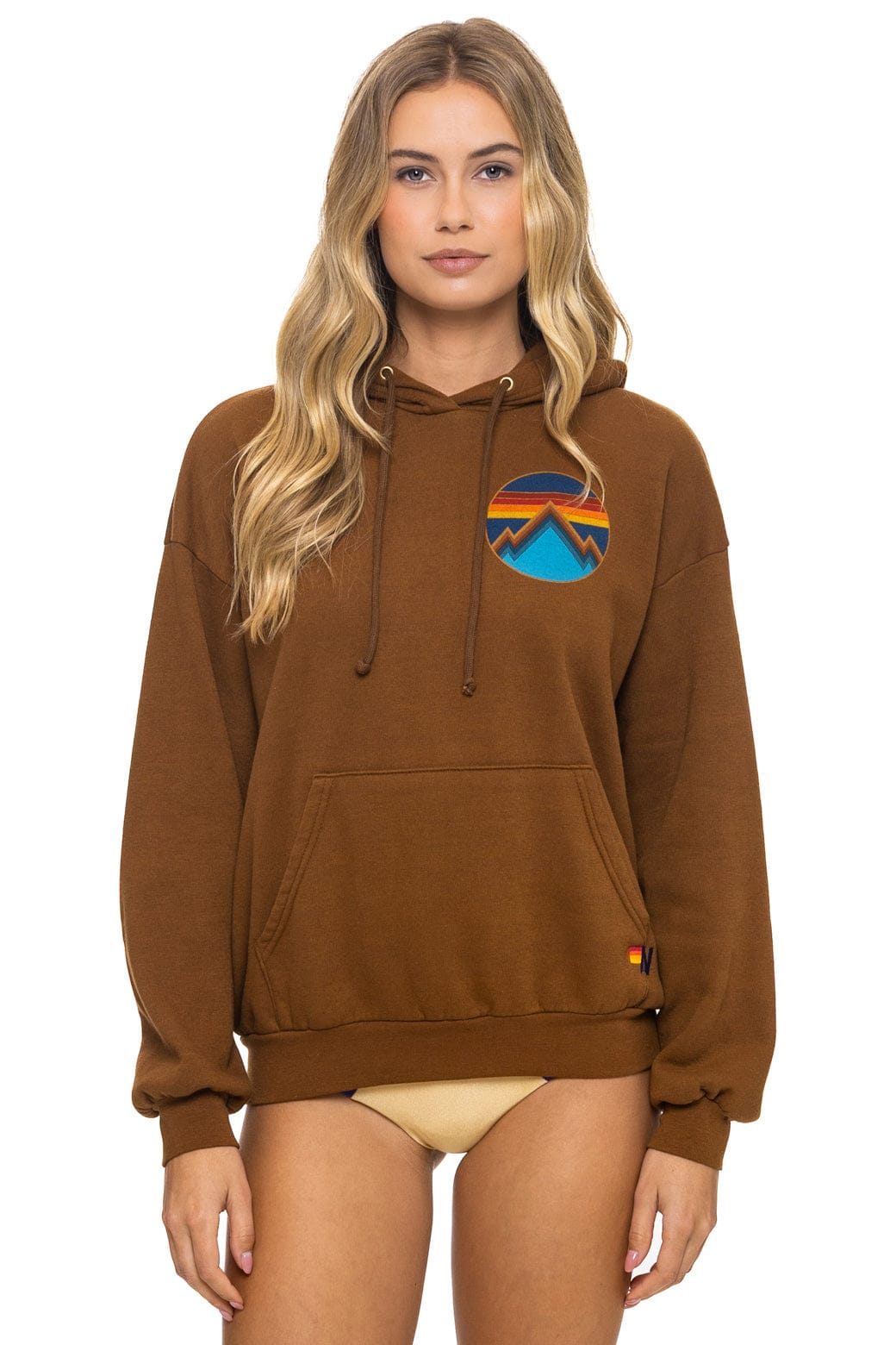 Classic ALL SEASONS RELAXED PULLOVER HOODIE - CINNAMON
