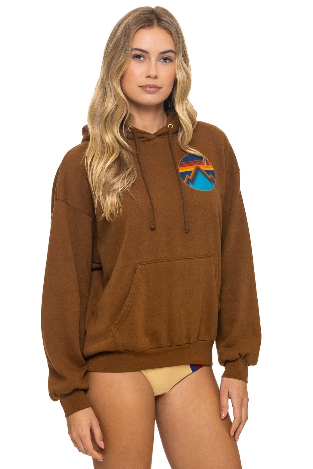 Classic ALL SEASONS RELAXED PULLOVER HOODIE - CINNAMON