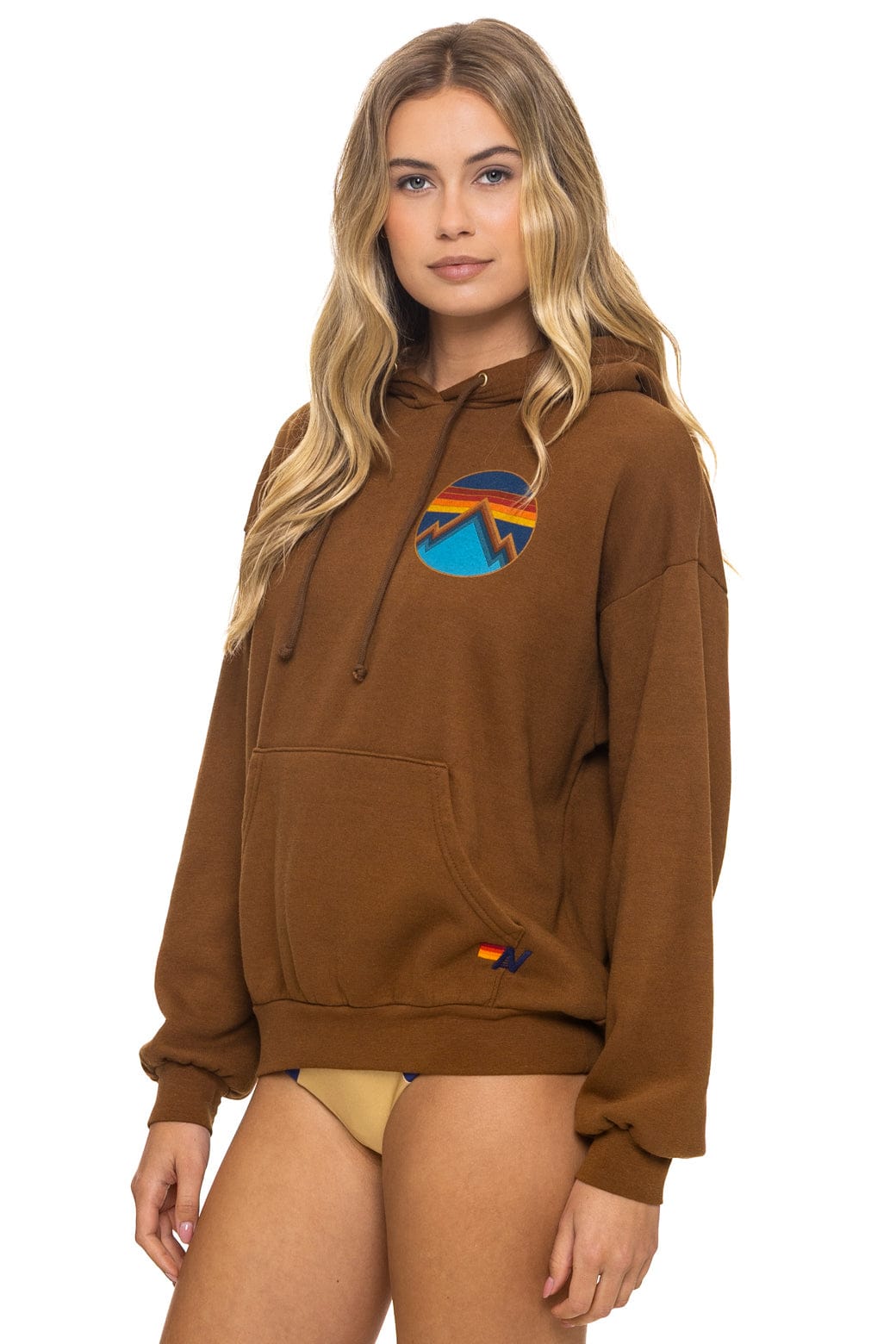 Classic ALL SEASONS RELAXED PULLOVER HOODIE - CINNAMON