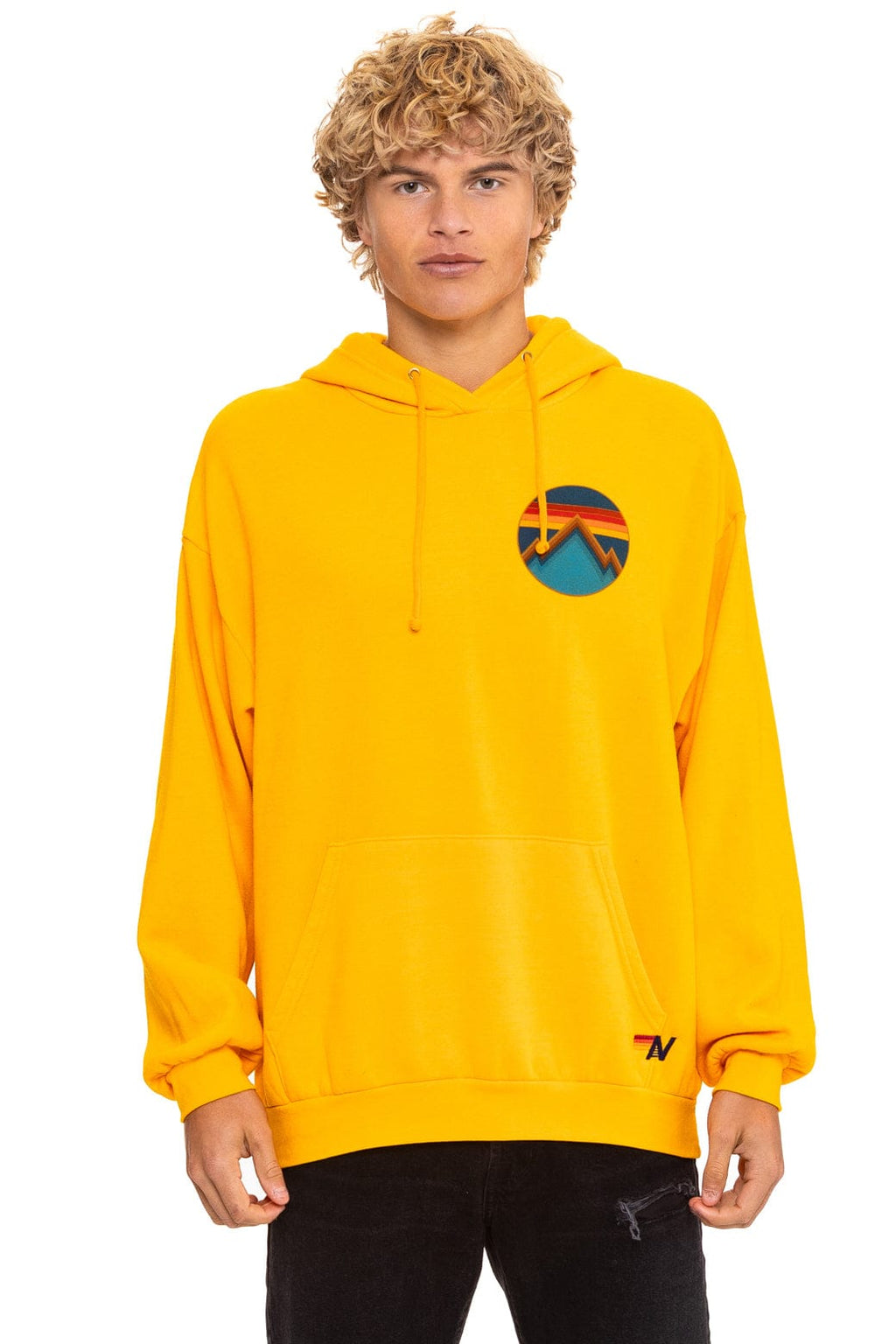 Classic ALL SEASONS RELAXED PULLOVER HOODIE - GOLD