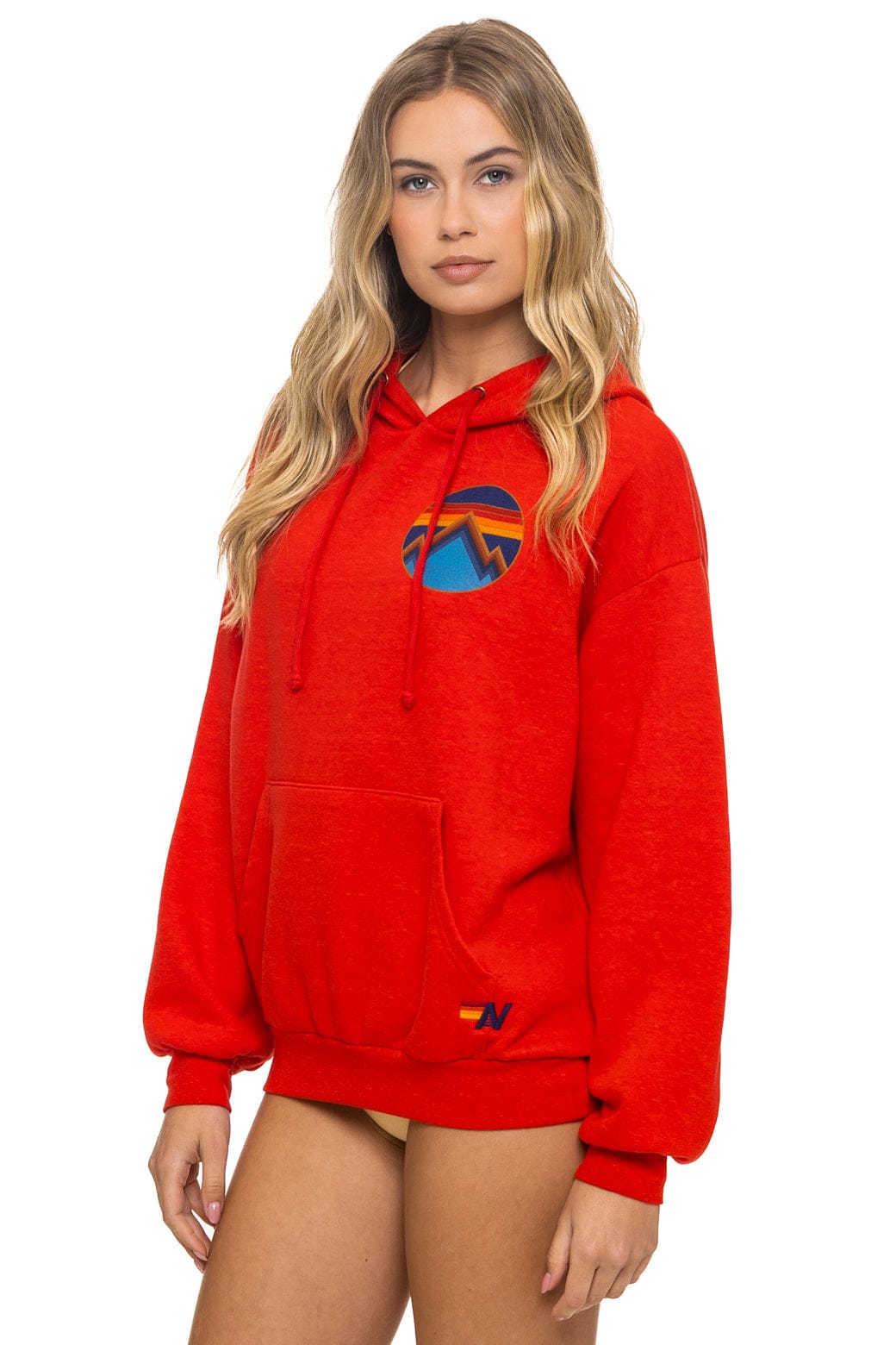 Classic ALL SEASONS RELAXED PULLOVER HOODIE - RED