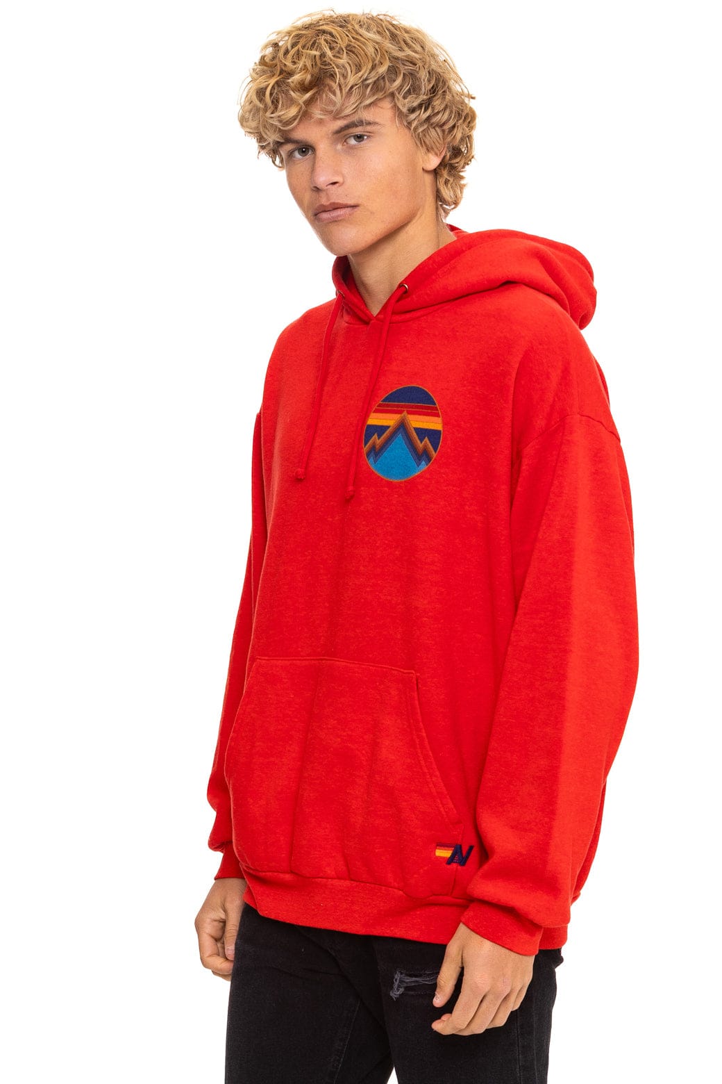 Classic ALL SEASONS RELAXED PULLOVER HOODIE - RED