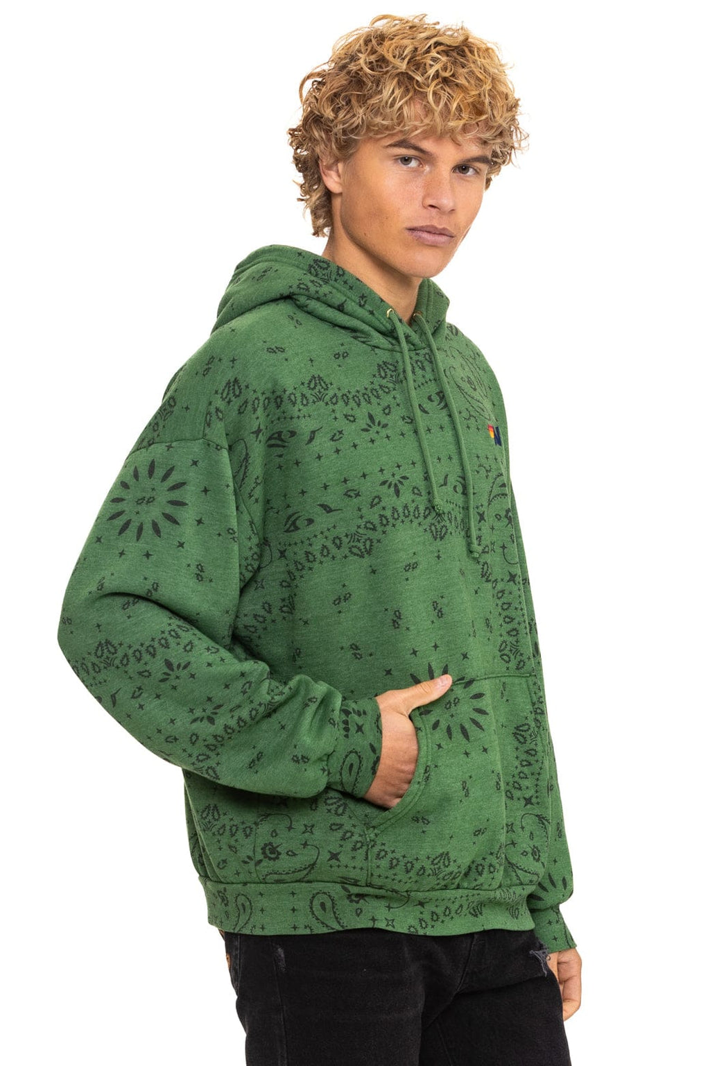 Classic BANDANA RELAXED PULLOVER HOODIE - PALM