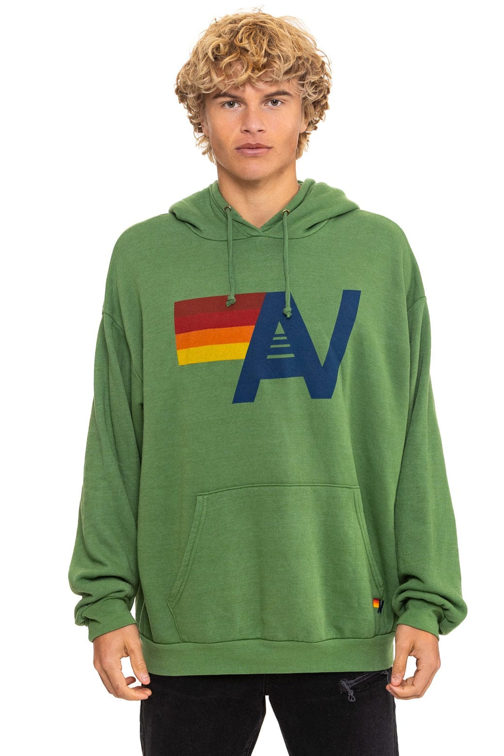Classic LOGO PULLOVER RELAXED HOODIE - PALM