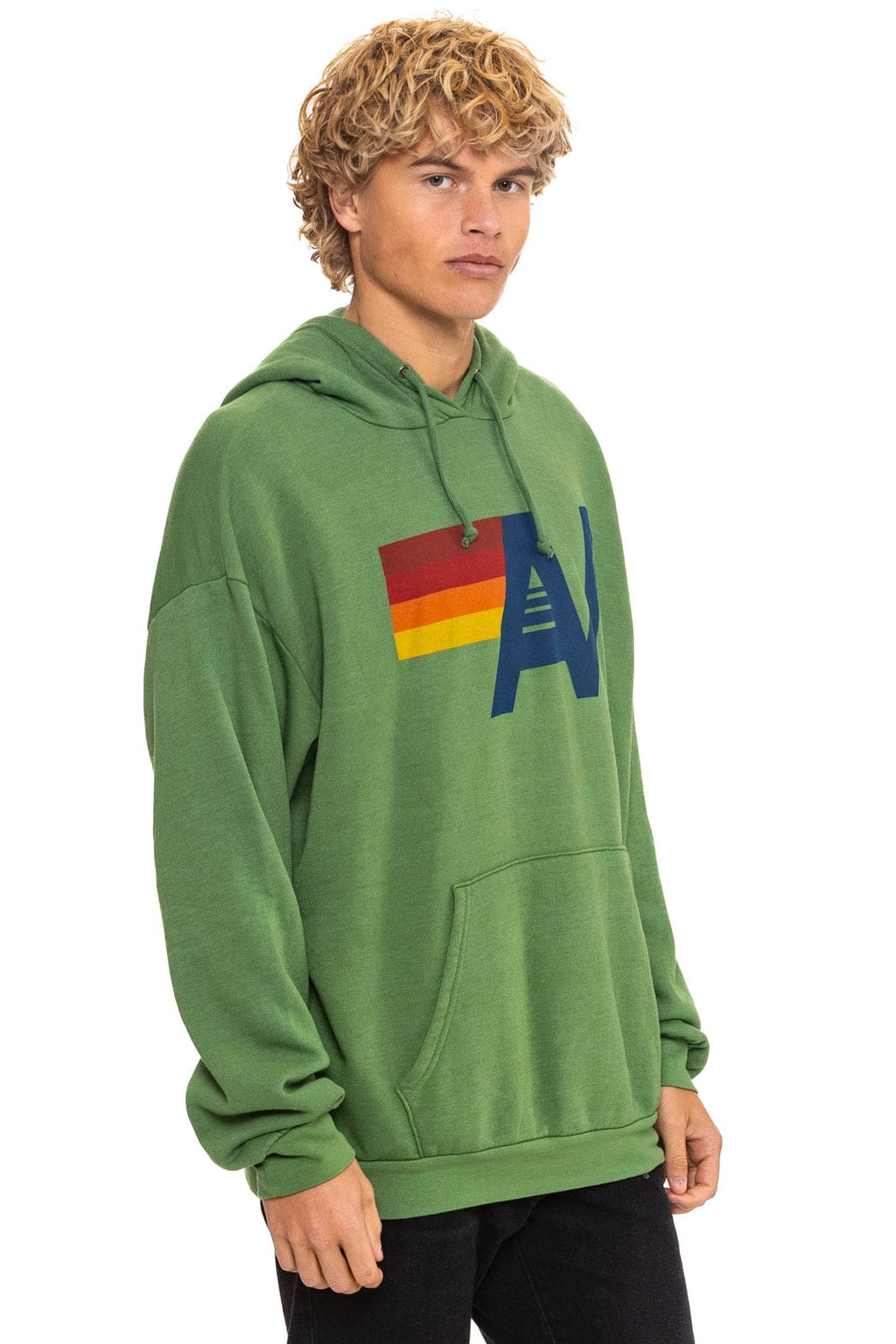 Classic LOGO PULLOVER RELAXED HOODIE - PALM