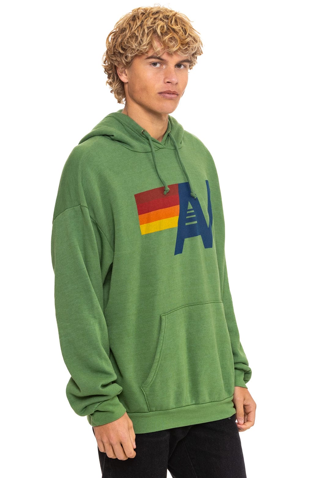 Classic LOGO PULLOVER RELAXED HOODIE - PALM