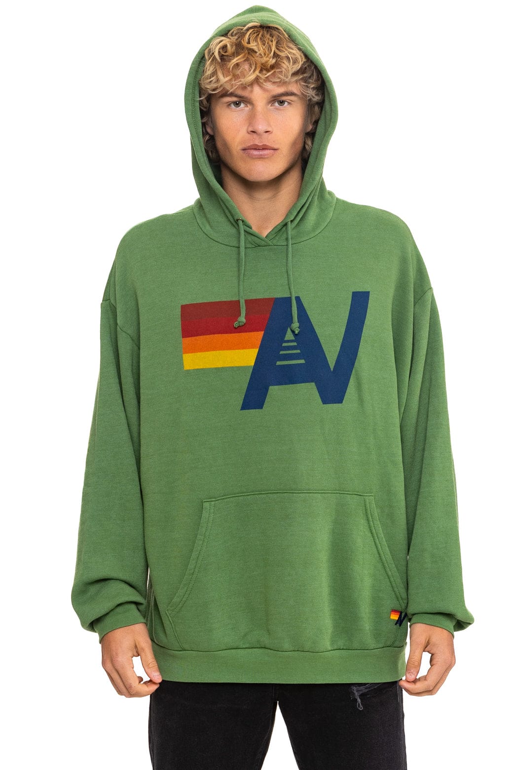 Classic LOGO PULLOVER RELAXED HOODIE - PALM