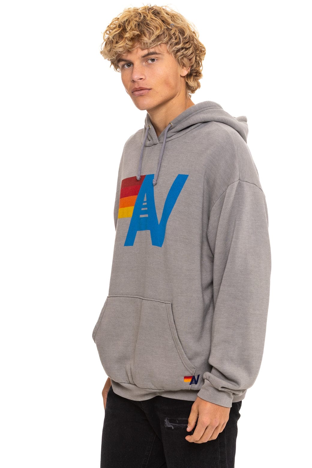 Classic LOGO PULLOVER RELAXED HOODIE - SLATE