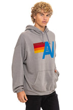 Classic LOGO PULLOVER RELAXED HOODIE - SLATE