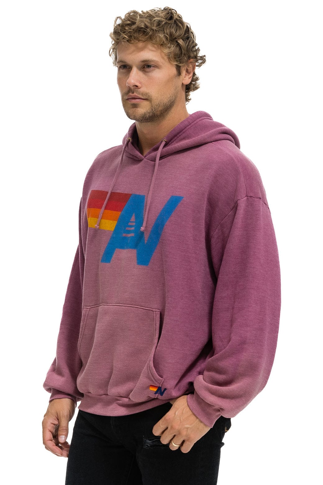 Classic VINTAGE LOGO RELAXED PULLOVER HOODIE - FADED BERRY