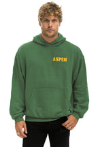 Classic UP IN THE SKY 2026 RELAXED PULLOVER HOODIE - PALM