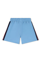 Classic AVIATOR NATION KIDS FLEX BOARD SHORTS - SKY