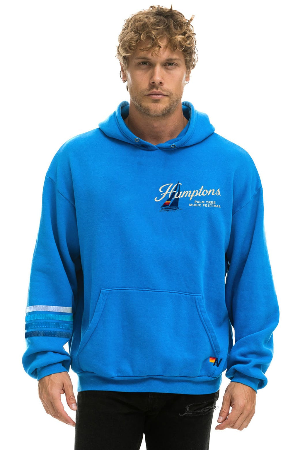 Classic PALM TREE FEST HAMPTONS 2026 PULLOVER HOODIE RELAXED - COBALT