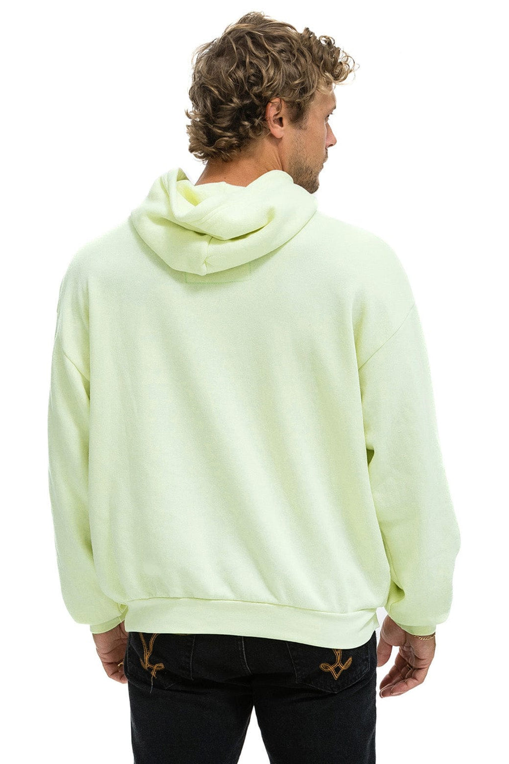 Classic WAVE STRIPE 4 PULLOVER HOODIE RELAXED - LIME CREAM SEAFOAM