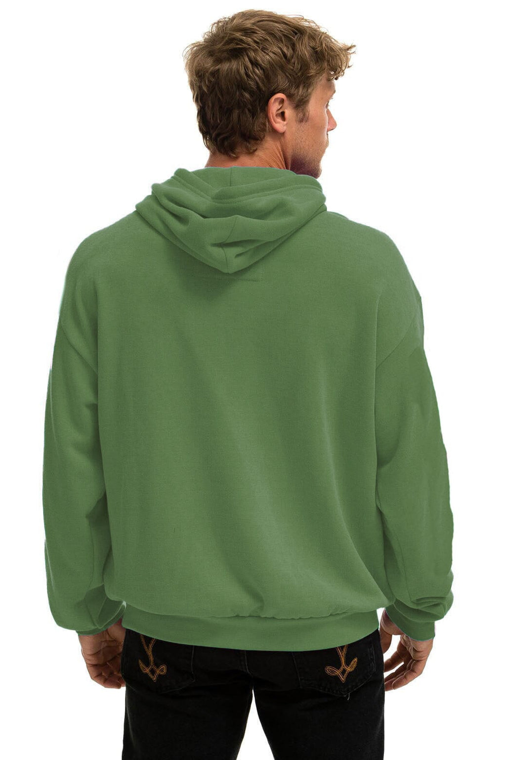 Classic WAVE STRIPE 4 PULLOVER HOODIE RELAXED - PALM GREEN