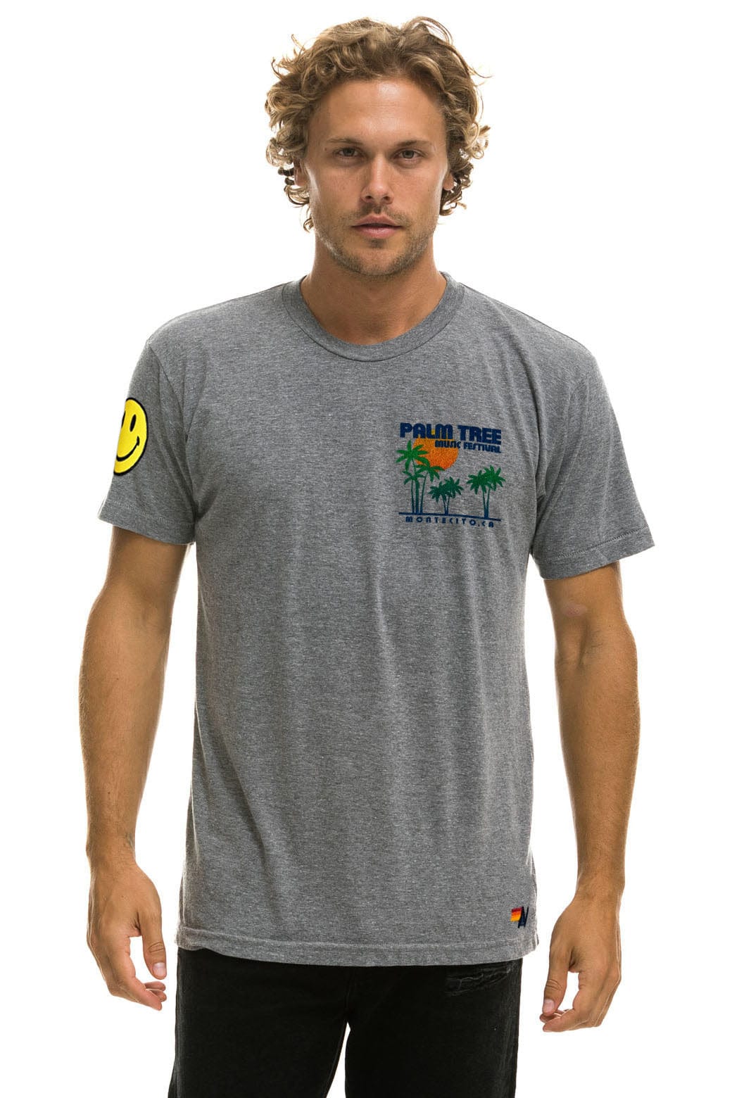 Classic PALM TREE FESTIVAL MONTECITO 2025 CREW TEE SHIRT - HEATHER GREY