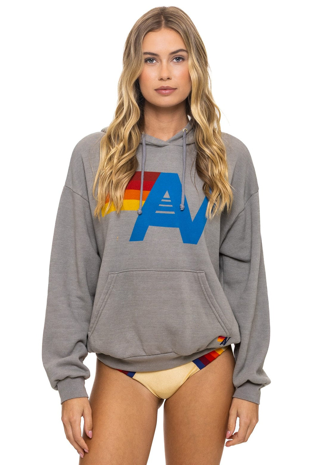 Classic LOGO PULLOVER RELAXED HOODIE - SLATE