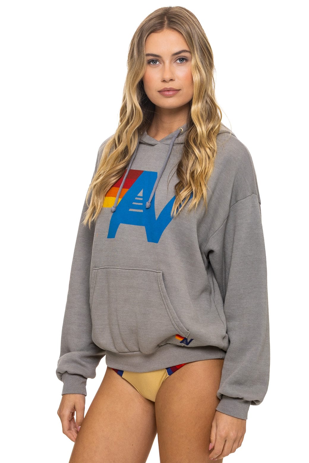 Classic LOGO PULLOVER RELAXED HOODIE - SLATE
