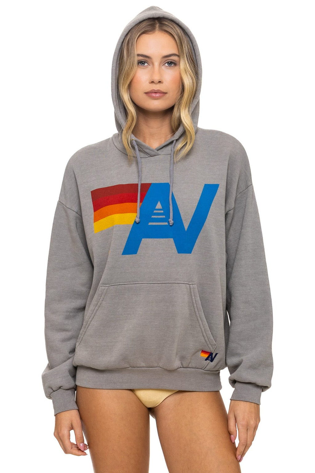 Classic LOGO PULLOVER RELAXED HOODIE - SLATE