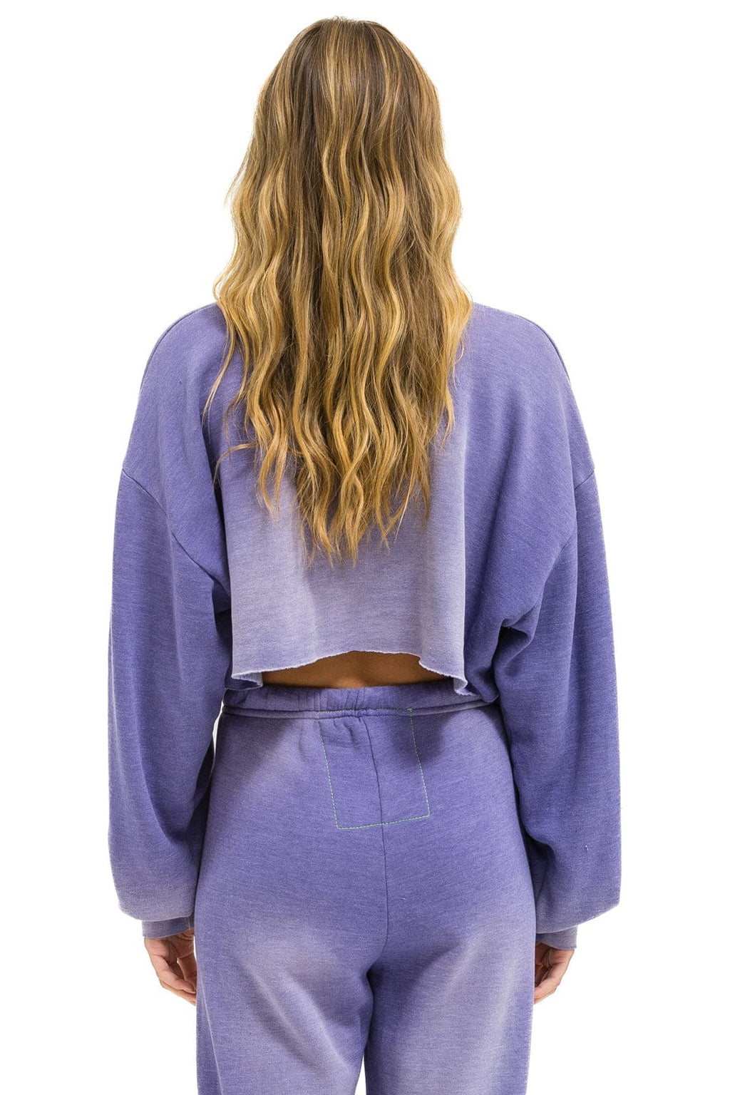 Classic VENICE SURFER CROPPED CREW SWEATSHIRT RELAXED - FADED GRAPE