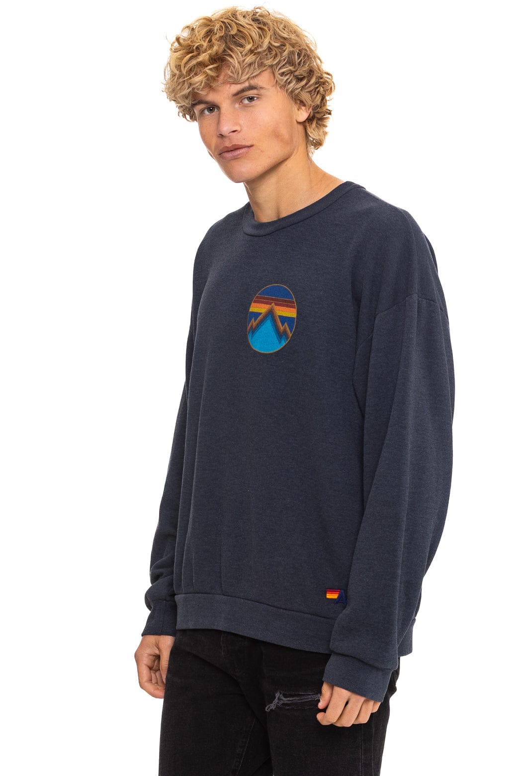 Classic ALL SEASONS CIRCLE RELAXED CREW SWEATSHIRT - CHARCOAL