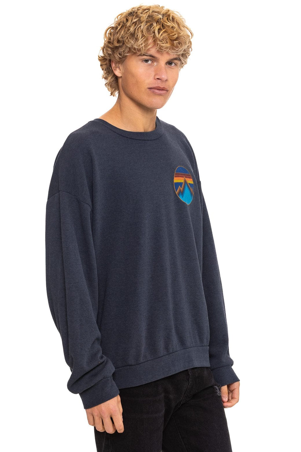 Classic ALL SEASONS CIRCLE RELAXED CREW SWEATSHIRT - CHARCOAL