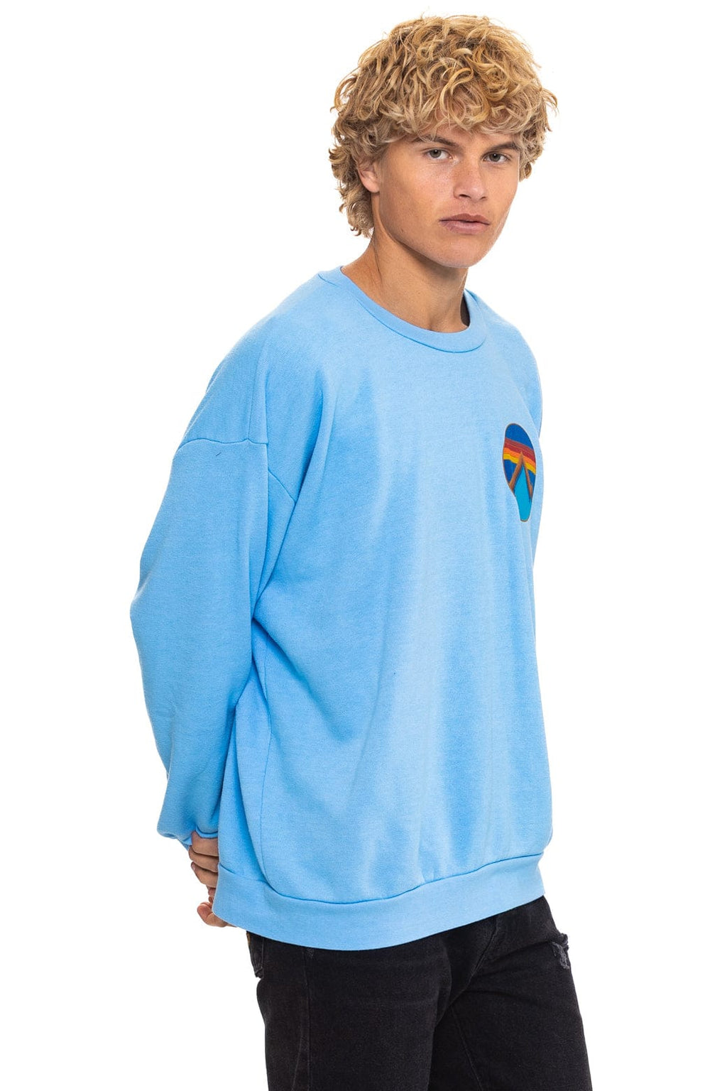 Classic ALL SEASONS CIRCLE RELAXED CREW SWEATSHIRT - SKY
