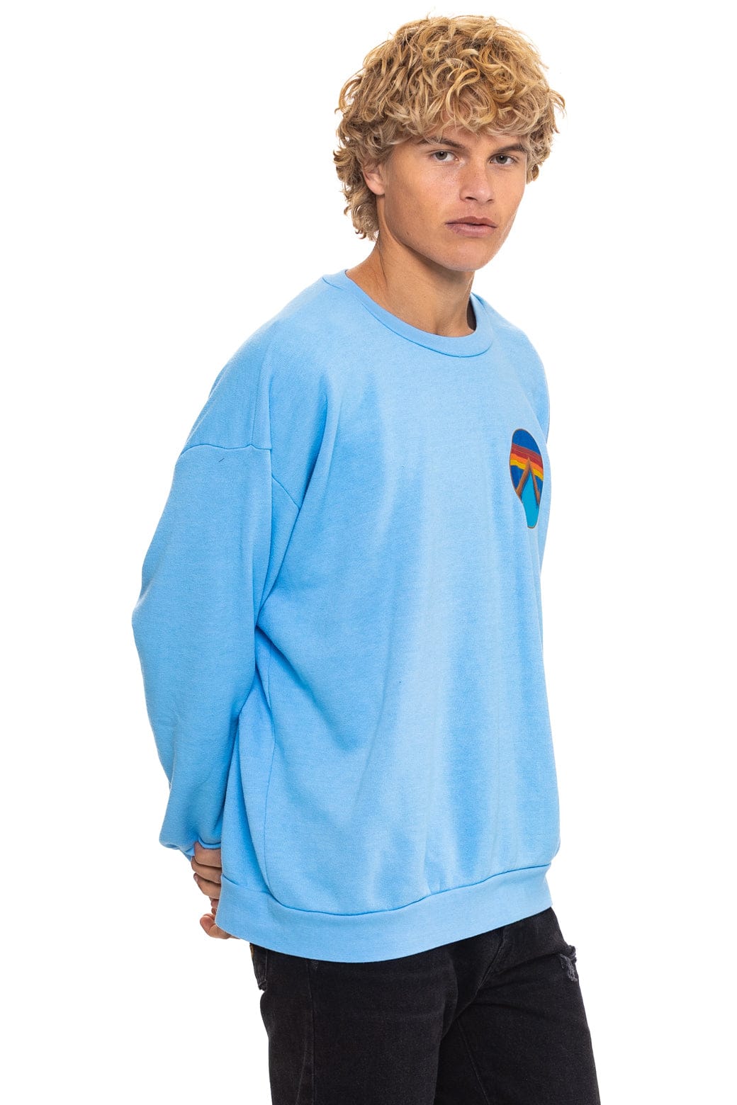 Classic ALL SEASONS CIRCLE RELAXED CREW SWEATSHIRT - SKY