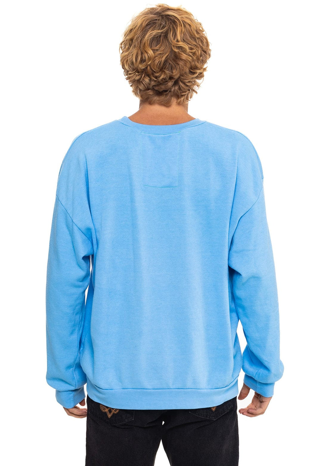 Classic ALL SEASONS CIRCLE RELAXED CREW SWEATSHIRT - SKY