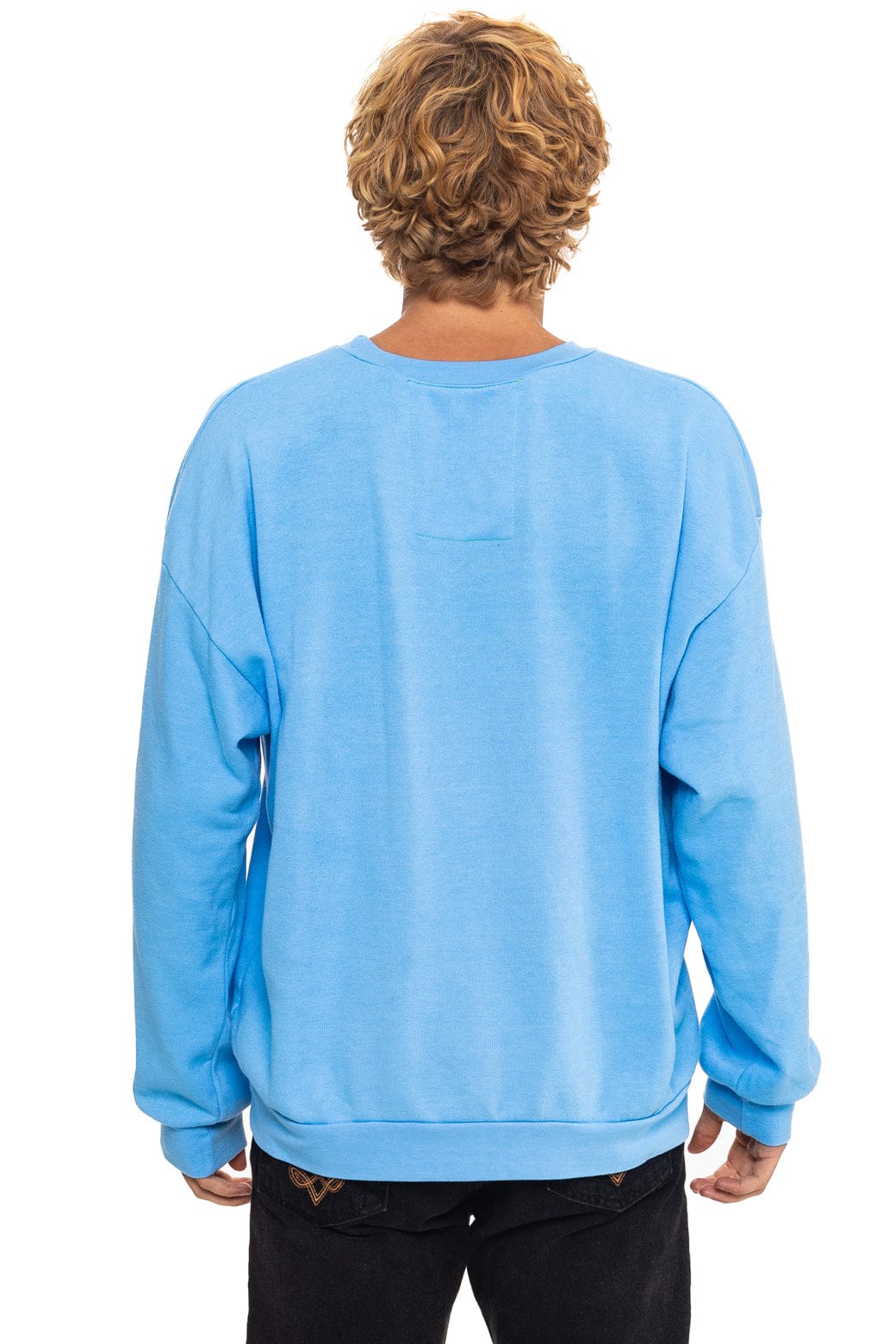 Classic ALL SEASONS CIRCLE RELAXED CREW SWEATSHIRT - SKY