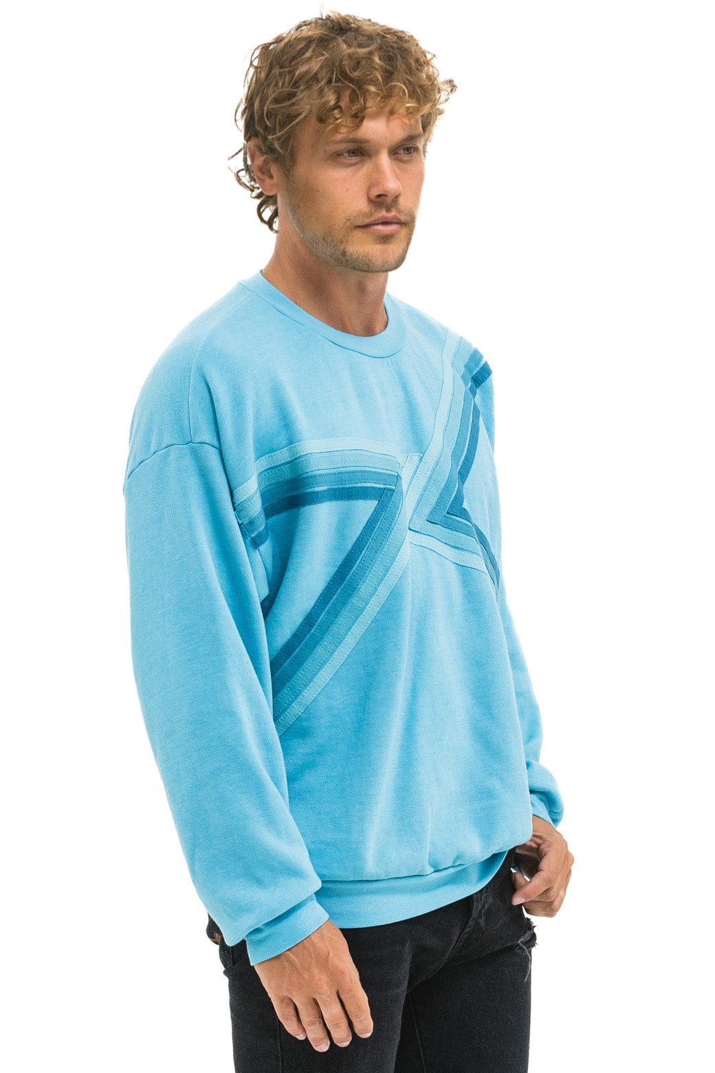 Classic BLAZE RELAXED CREW SWEATSHIRT - AQUA AQUA