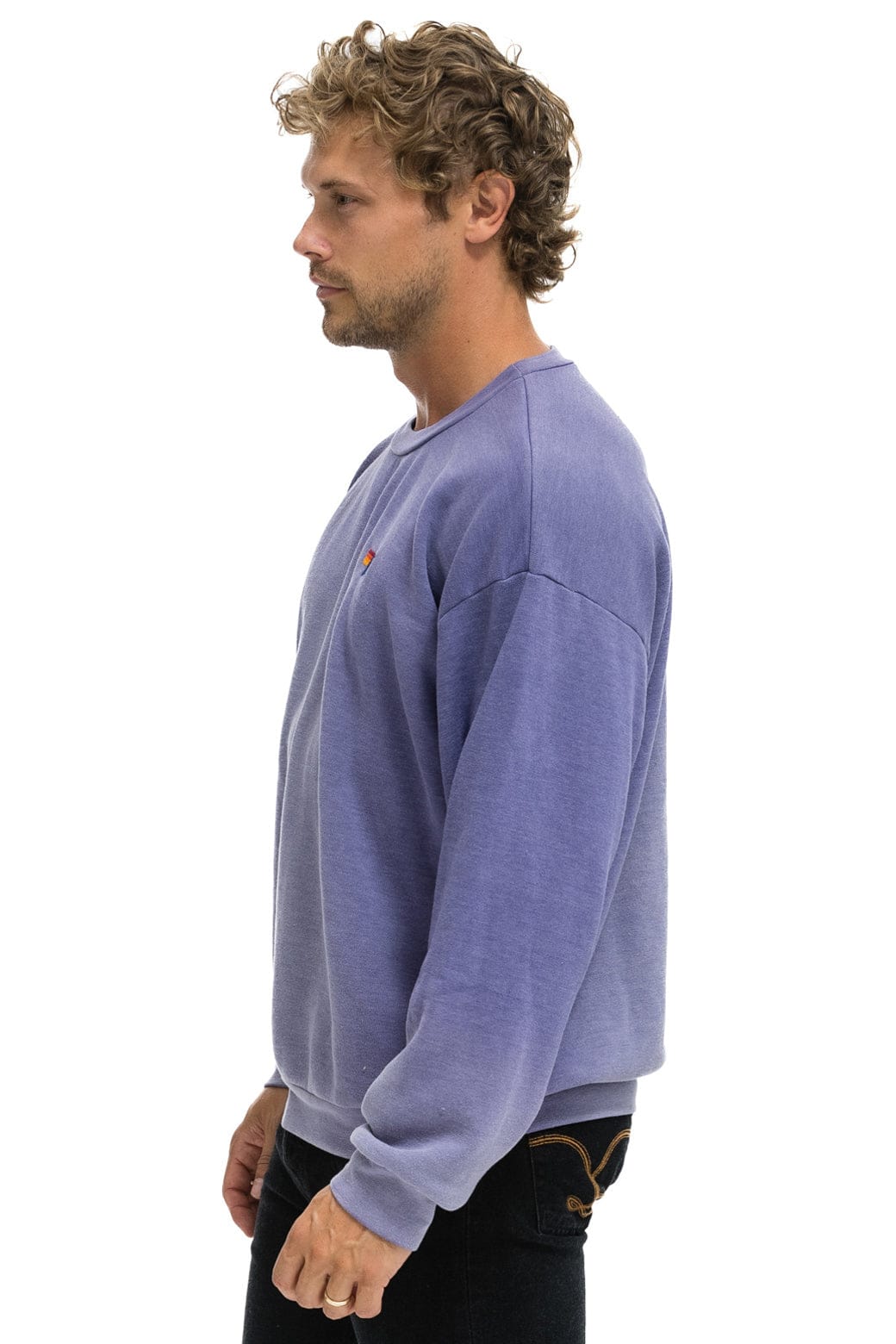 Classic ESSENTIAL RELAXED CREW SWEATSHIRT - FADED GRAPE