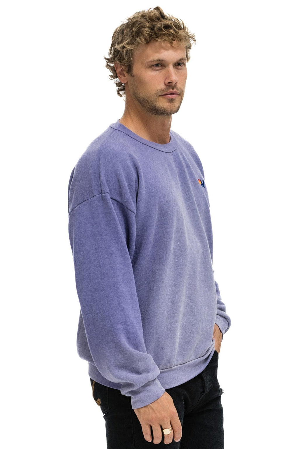 Classic ESSENTIAL RELAXED CREW SWEATSHIRT - FADED GRAPE