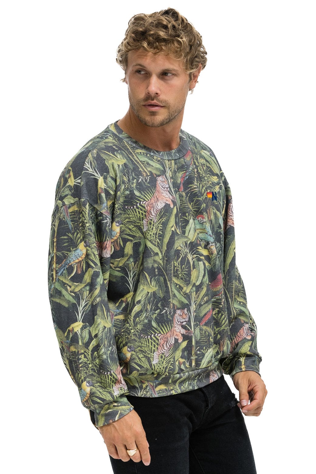 Classic JUNGLE RELAXED CREW SWEATSHIRT - VINTAGE CHARCOAL