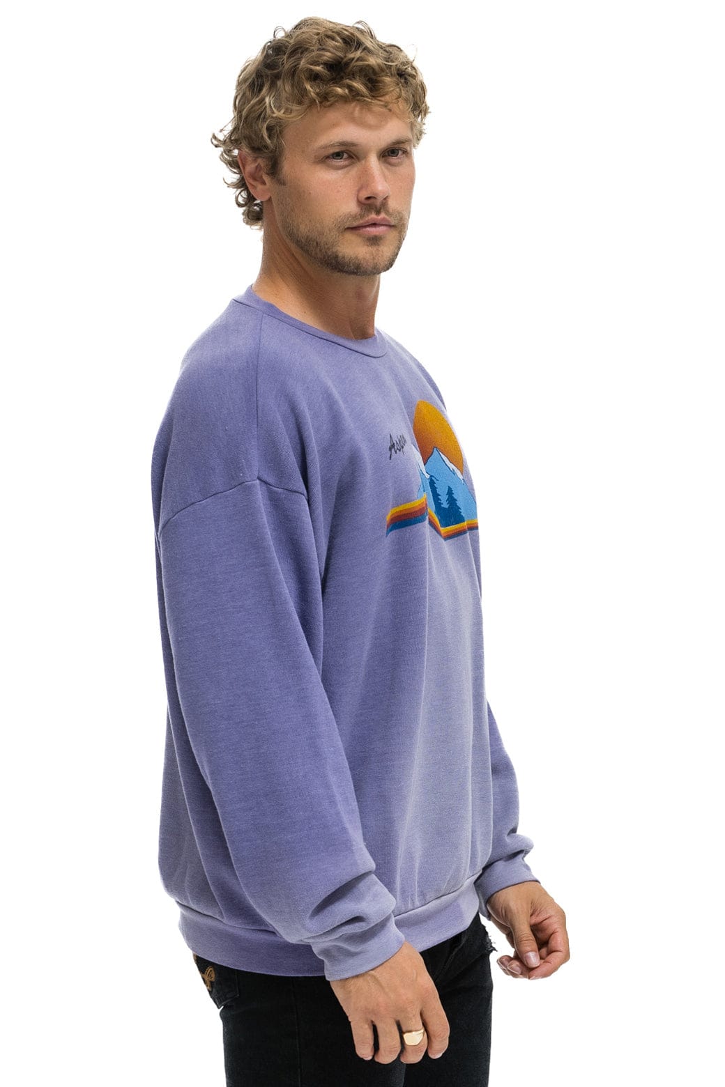 Classic ASPEN MOUNTAIN RELAXED CREW SWEATSHIRT - FADED GRAPE