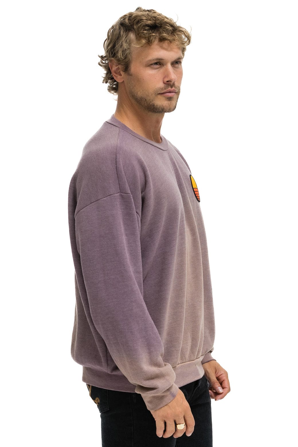 Classic SUNSET PATCH RELAXED CREW SWEATSHIRT - FADED MOCHA
