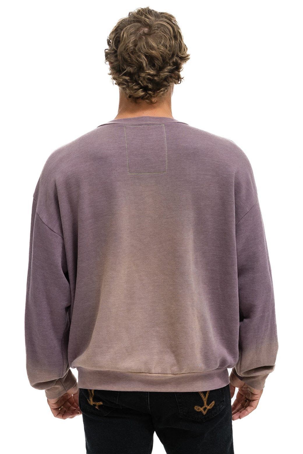 Classic SUNSET PATCH RELAXED CREW SWEATSHIRT - FADED MOCHA