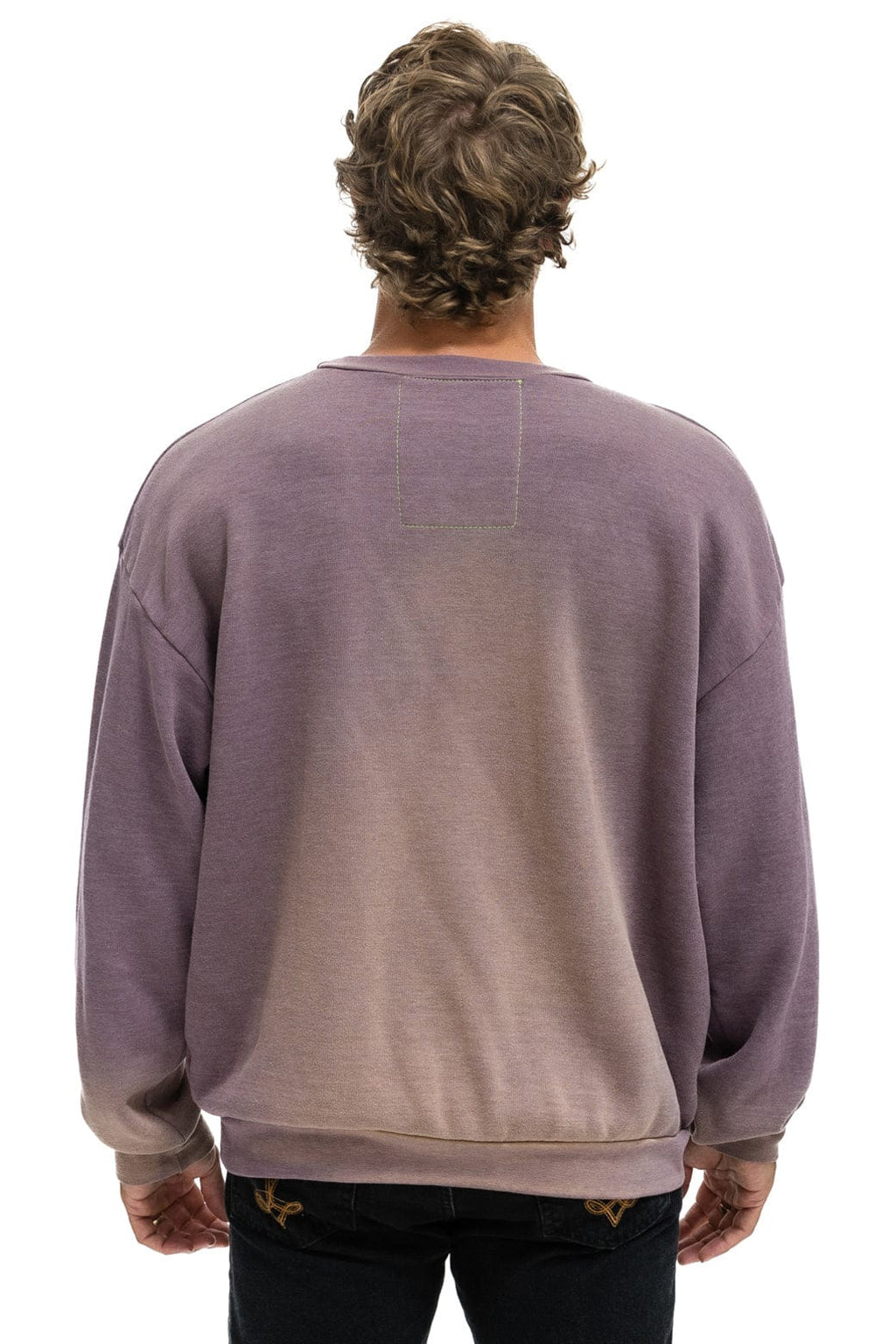Classic WATER SKIER RELAXED CREW SWEATSHIRT - FADED MOCHA
