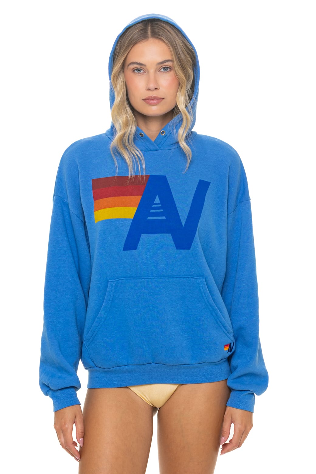 Classic LOGO PULLOVER RELAXED HOODIE - COBALT