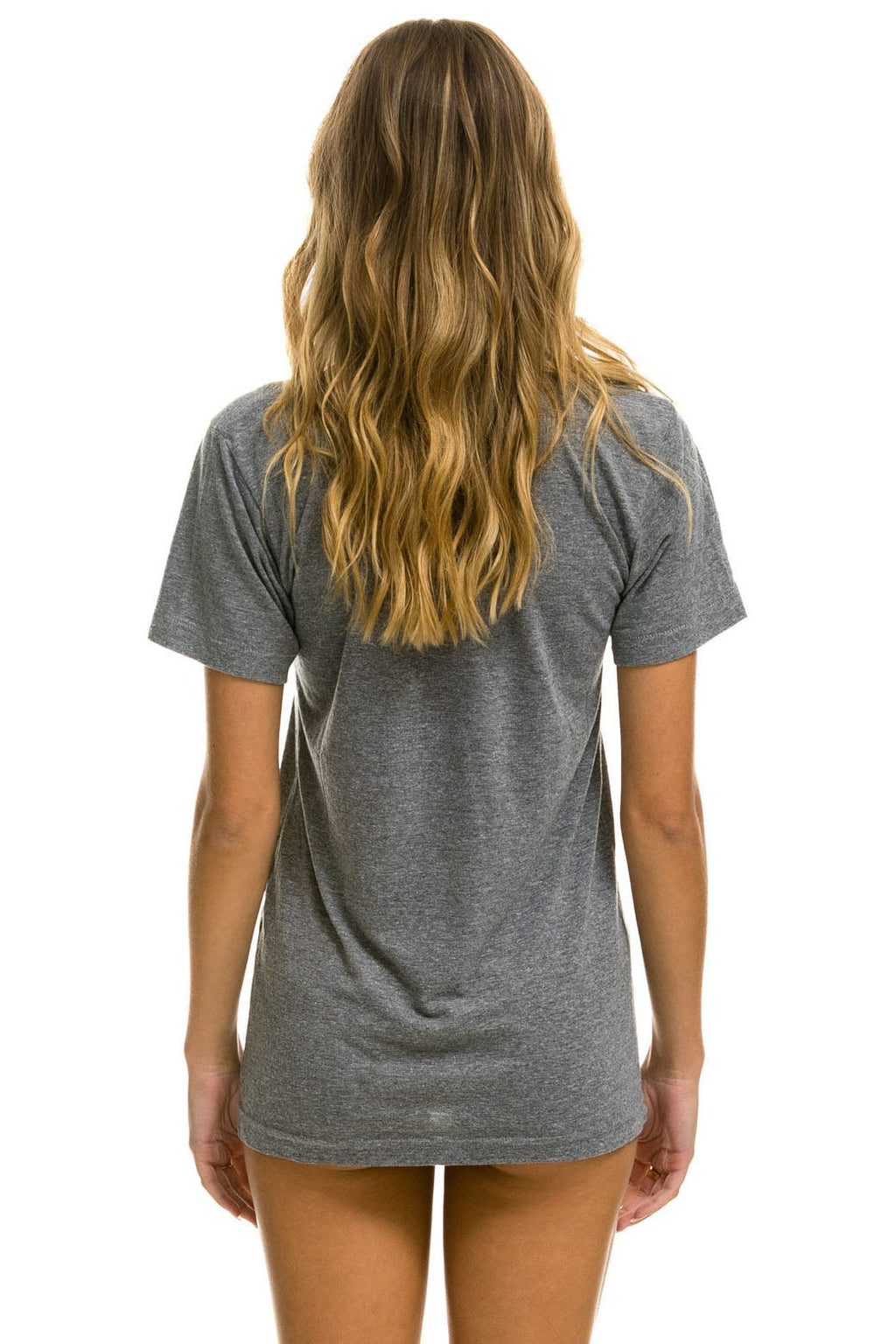 Classic AVIATOR NATION VAIL TEE - HEATHER