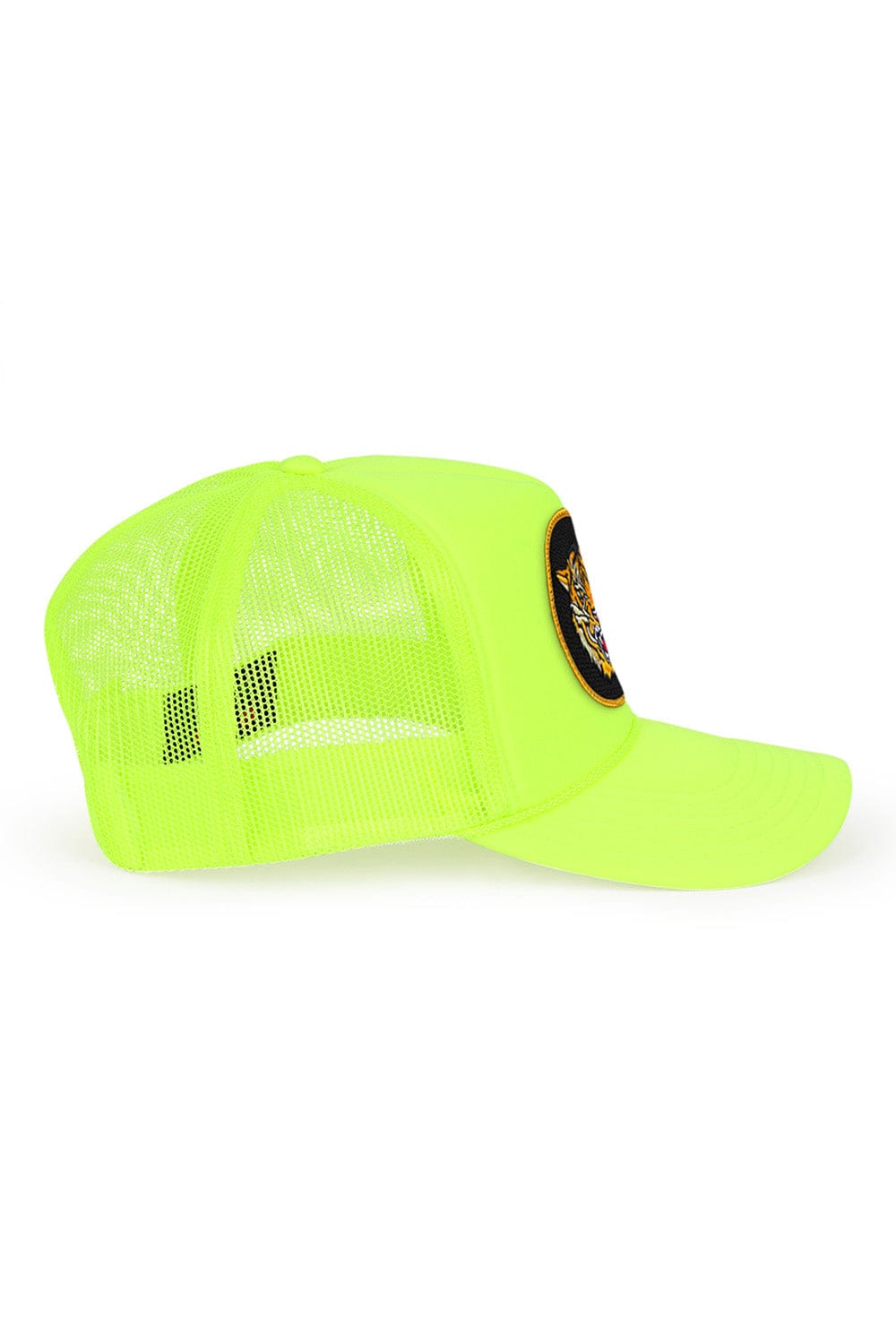 Classic DREAMLAND TIGER - VINTAGE LOW RISE TRUCKER
