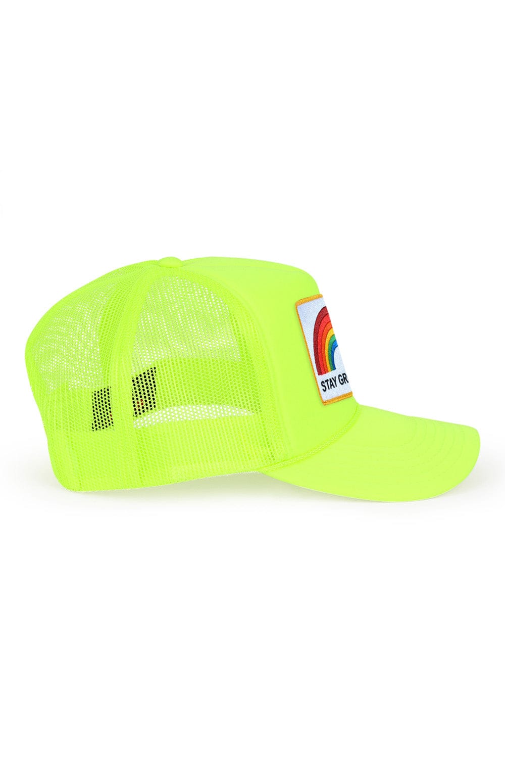 Classic STAY GROUNDED TRUCKER HAT