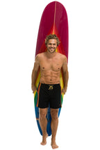 Classic AVIATOR NATION HYBRID BOARD - RAINBOW