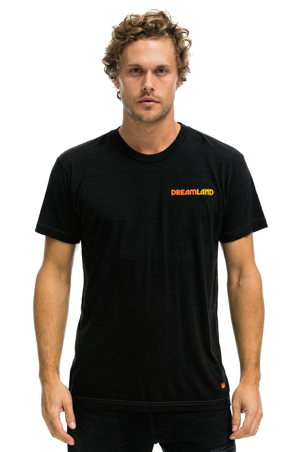 Classic DREAMLAND LOGO UNISEX CREW TEE - BLACK
