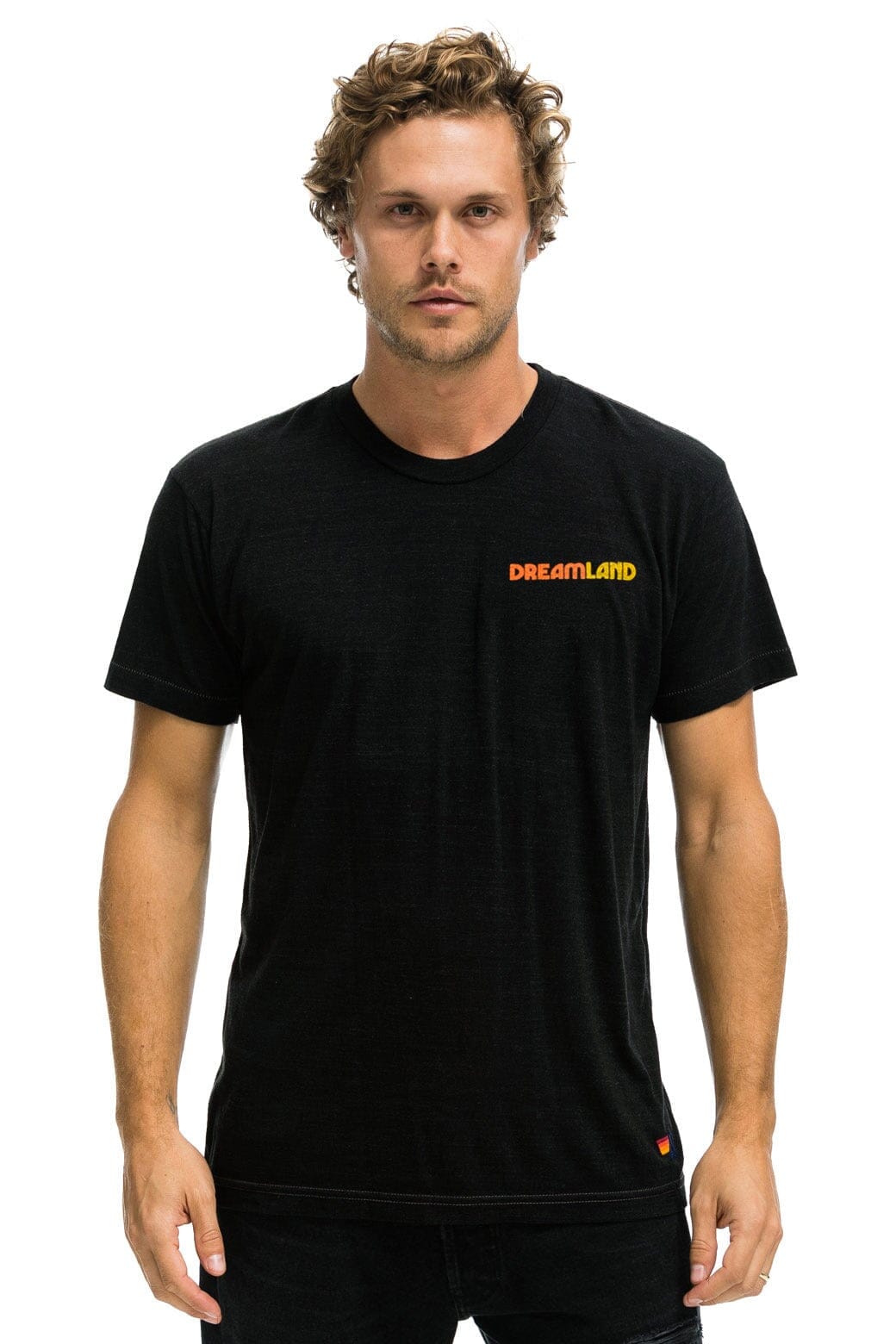 Classic DREAMLAND LOGO UNISEX CREW TEE - BLACK